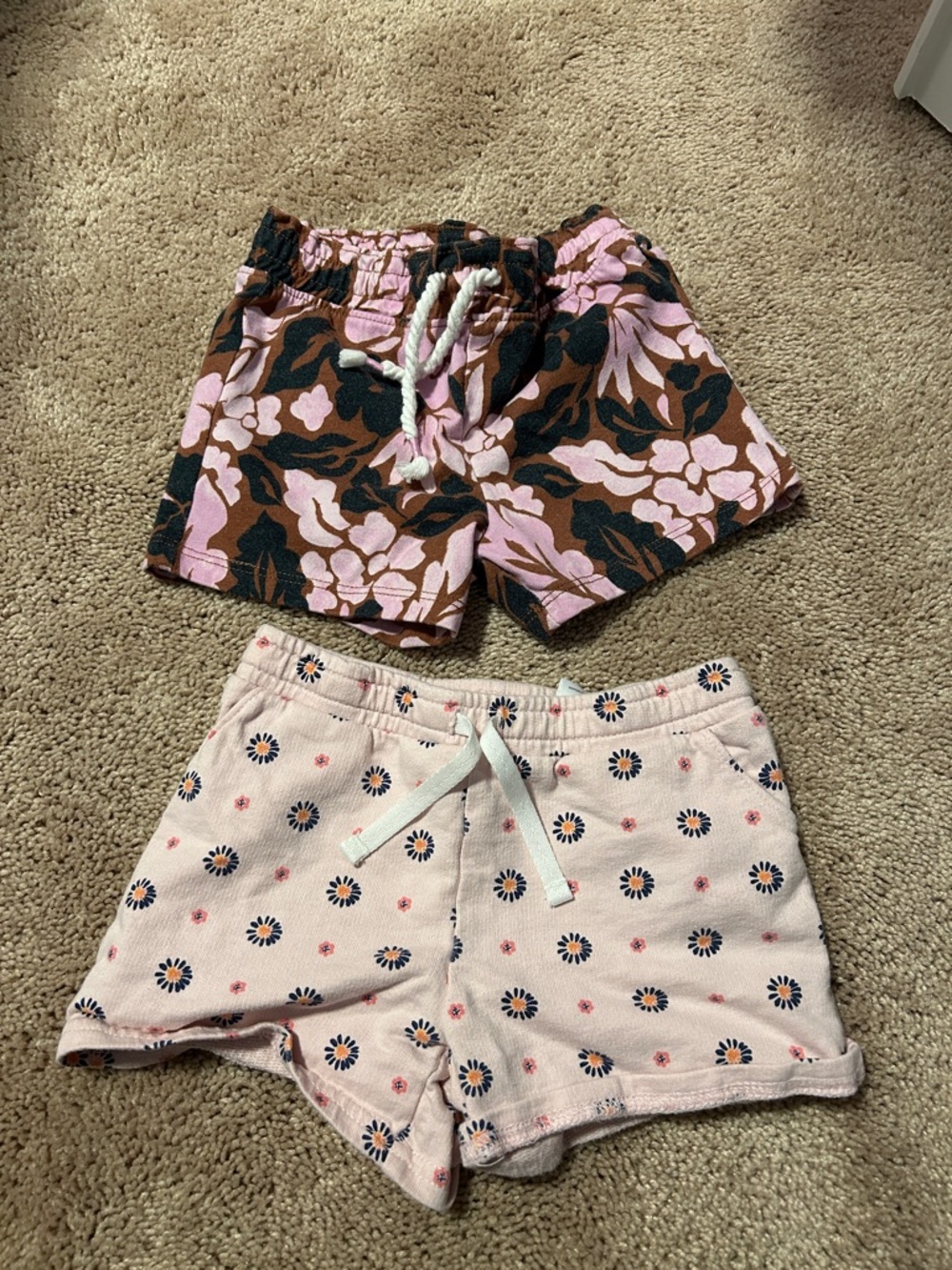 Girls' 4T Pink Floral Print Casual Shorts - Pack of 2